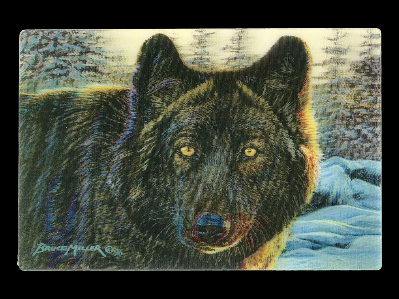 Postkarte Tiere "Wolf"