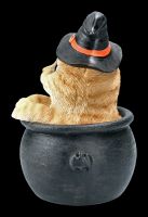 Tabby Witches Cat in Cauldron