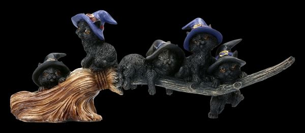 Funny Witch Cats Playing on a Broom
