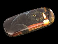 Glasses Case with Cat - Witching Hour