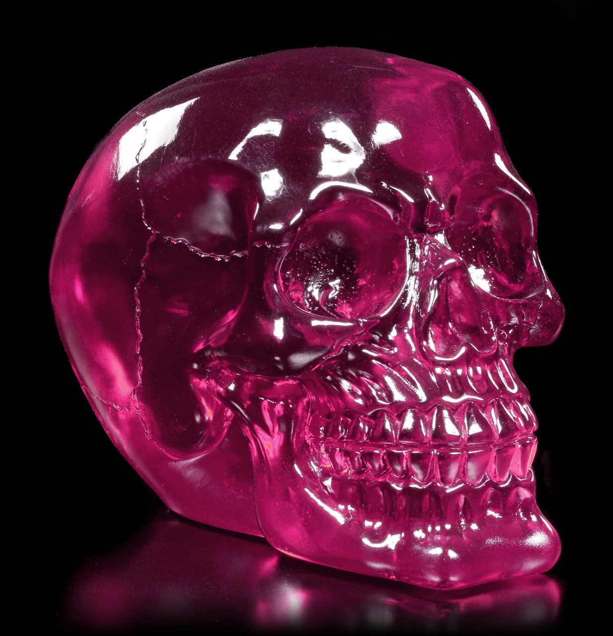 Translucent Skull - Pink Brain