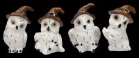 Owl Set - 12 White Owls with Wizard Hat