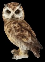 Long-Eared Owl Figurine