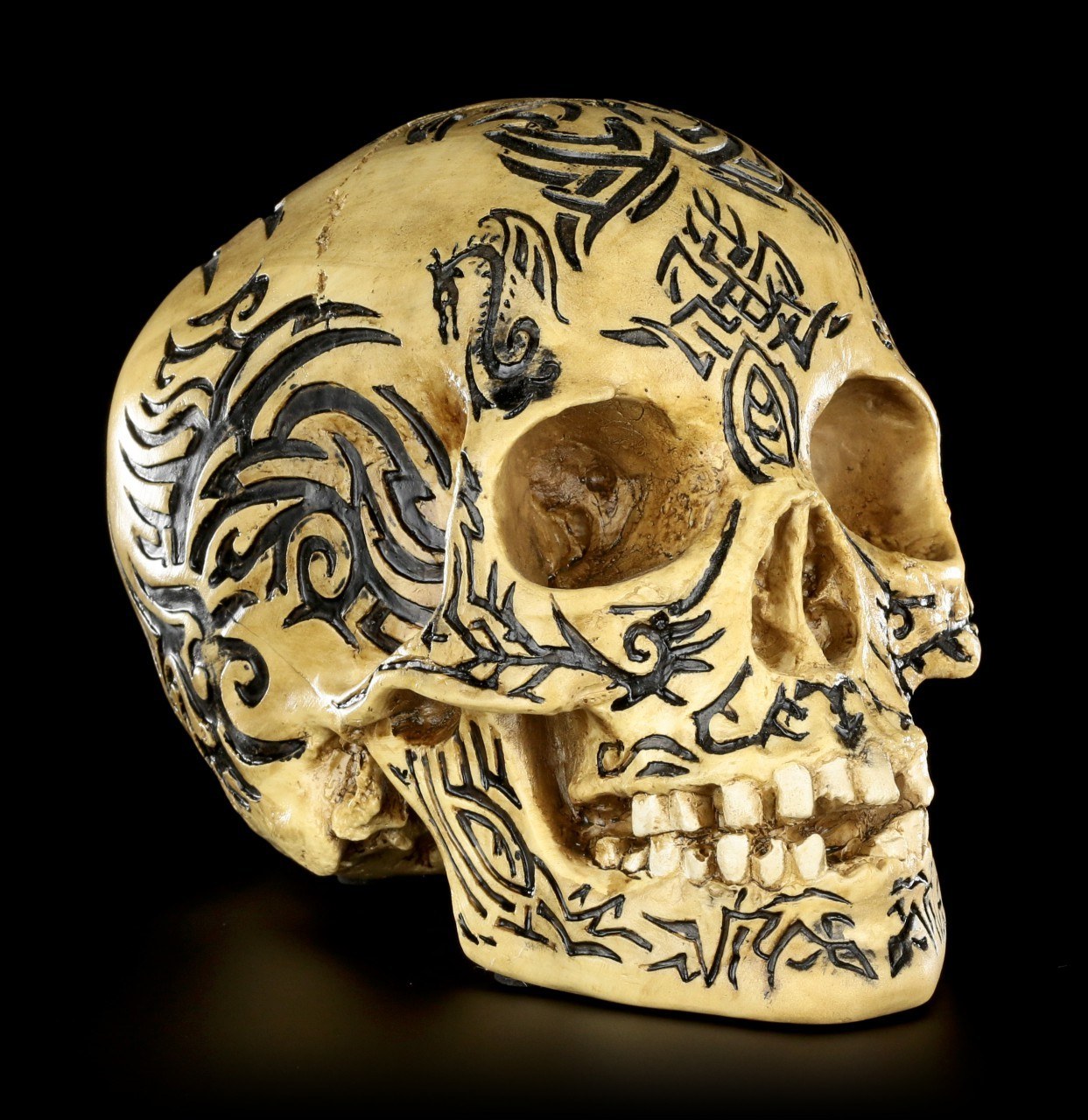 Skull - Celtic Tribal Design