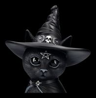 Okkulte Katzenfigur mit Hexenhut - Purrah groß