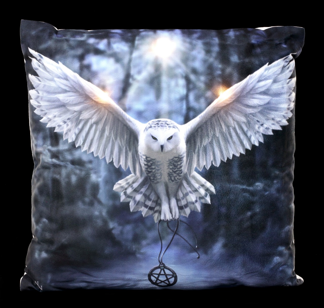LED Cushion with Owl - Awaken your Magic