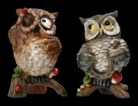 Funny Owl Figurine Set of 2 - Lucky Owls