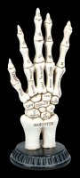 Skeletthand zum Handlesen - Palmistry