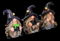 Funny Witches Figurine Set of 3
