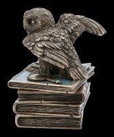 Box - Snow Owl on old Books