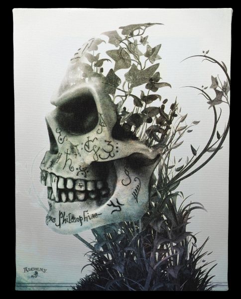 Small Canvas Skull - Satyr Sancti