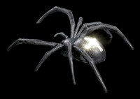 Wandlampe - Große Spinne mit LED - Batteriebetrieben