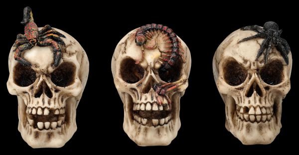 Skull Set of 3 - Spider Scorpion Centipede