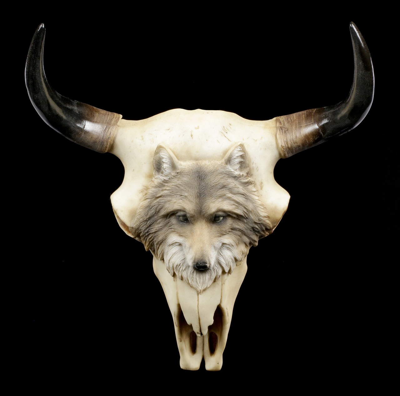 Bull Skull with grey Wolf - Native Spirit