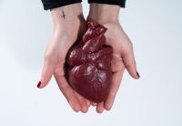Menschen Herz