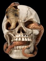 Totenkopf Figur - Kobra Schädel