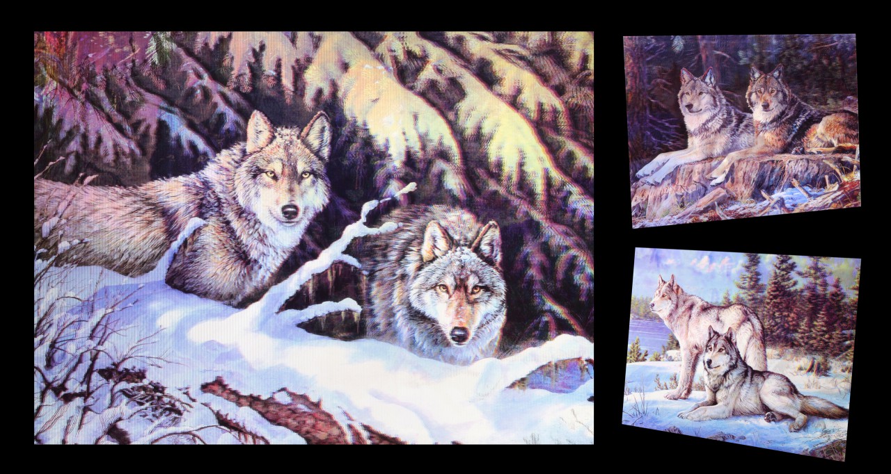 3D-Picture 3in1 with Wolves - Wolf Couple