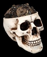 Skull Box - Gearwheel Top