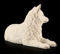 Wolf Welpe - Weiß liegend