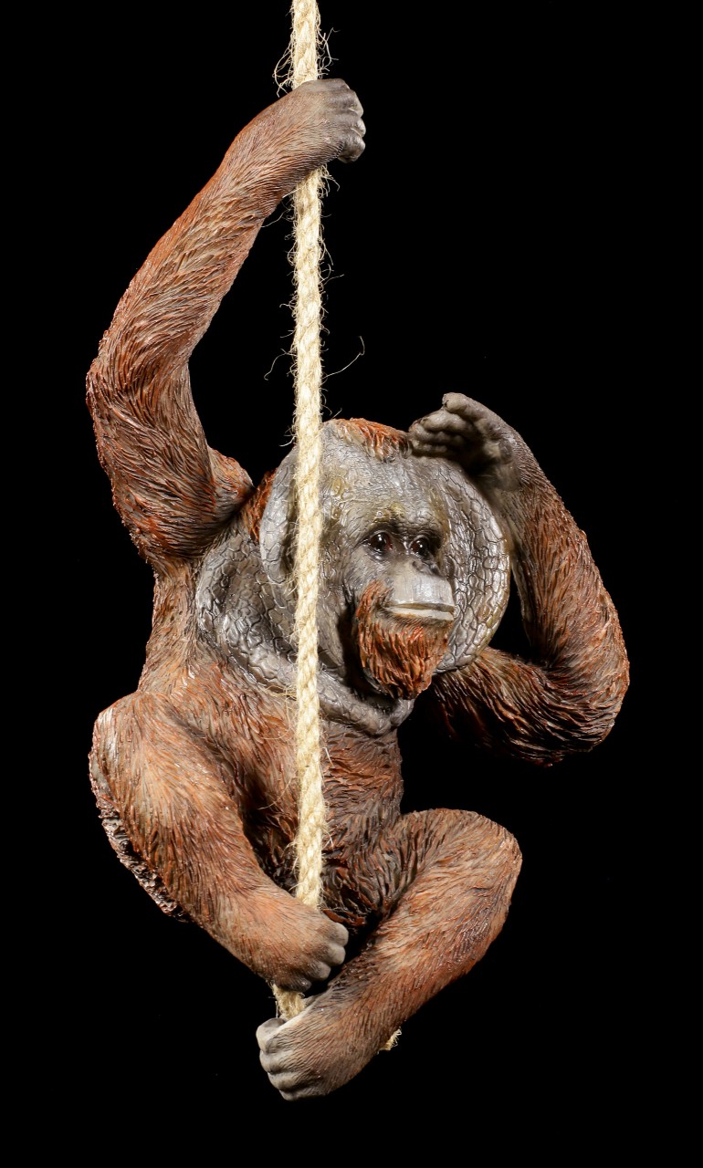Orangutan Figure hanging on Rope - Cheeky Chap