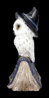 Snowy Owl Figurine with Magic Book - blue