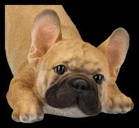 Hundefigur - Französische Bulldogge Welpe will spielen