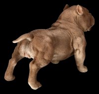 Dog Figurine - American Bully