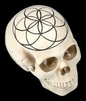 Skull - Sacred Geometry - Seed of Life