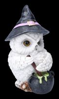 Owl Figurine Brews Potion