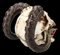 Havok's Hellion - Skull