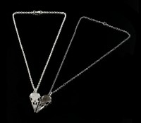 Alchemy Gothic Halsketten Set - Coeur Crane