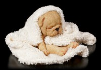 Dog Figurine asleep wrapped in Blanket