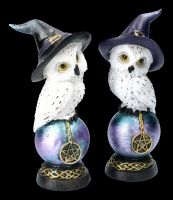 Snowy Owl Figurine Set - Wizards