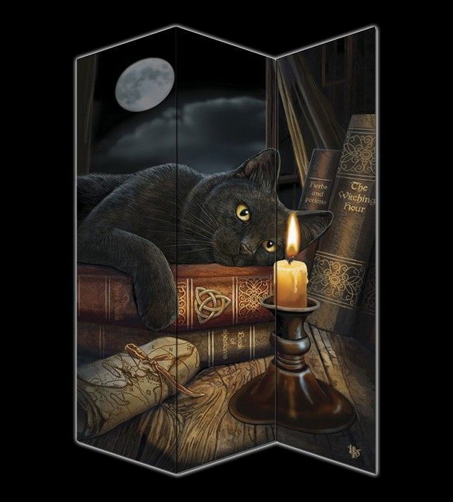 Room Divider - Witching Hour by Lisa Parker