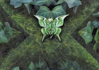 Fantasy Geburtstagskarte Kobold - Acorn Pixie