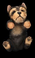 Yorkshire Terrier Puppy Figurine as Flowerpot Hanger