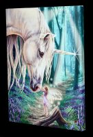 Small Canvas with Unicorn - Fairy Whispers