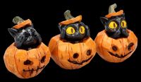Katzenfiguren im Kürbis - Drei weise Katzen 3er Set