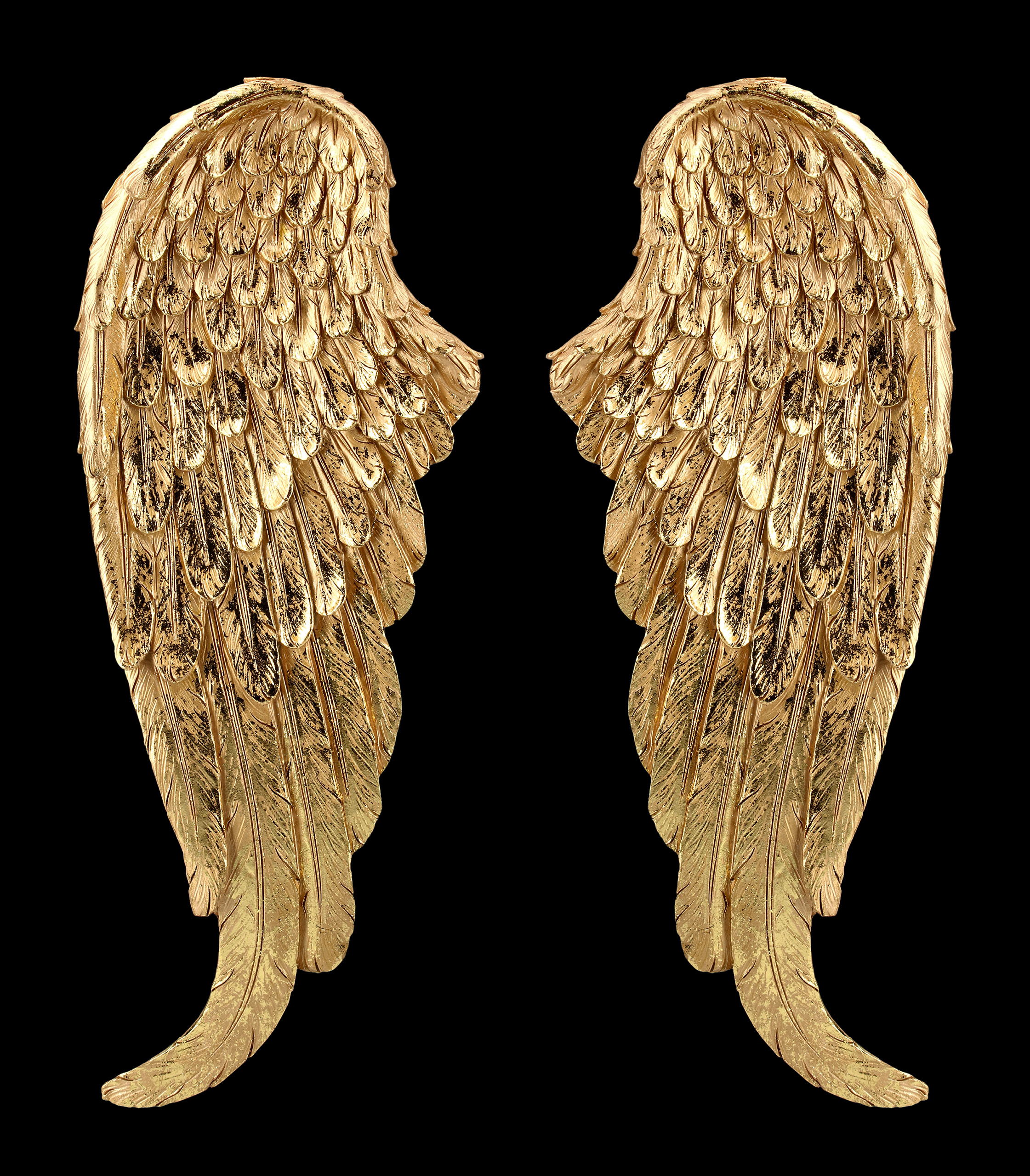 Золотистые крылья