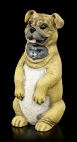 Dupers Figur - Katze im Hundekostüm