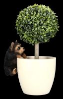 Yorkshire Terrier Puppy Figurine as Flowerpot Hanger