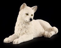 Wolf Welpe - Weiß liegend