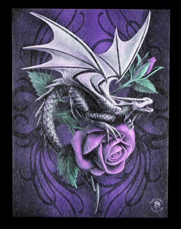 Small Canvas - Dragon Beauty by Anne Stokes