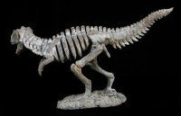 Dinosaur Figurine - Small Tyrannosaurus Rex Skeleton