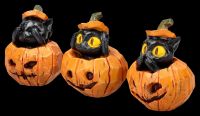 Katzenfiguren im Kürbis - Drei weise Katzen 3er Set