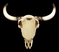 Wall Ornament - Cattle Skull with Aztec Decoration