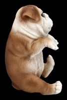 Bulldog Puppy Figurine as Flowerpot Hanger