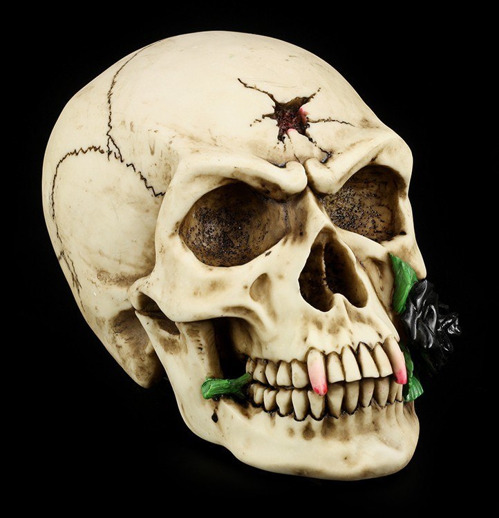 Vampire Skull with Black Rose