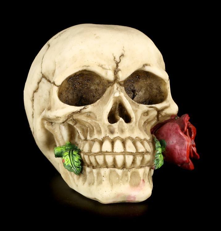 Skull with Rose - Romance Never Dies