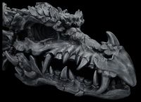 Riesen Drachenschädel schwarz